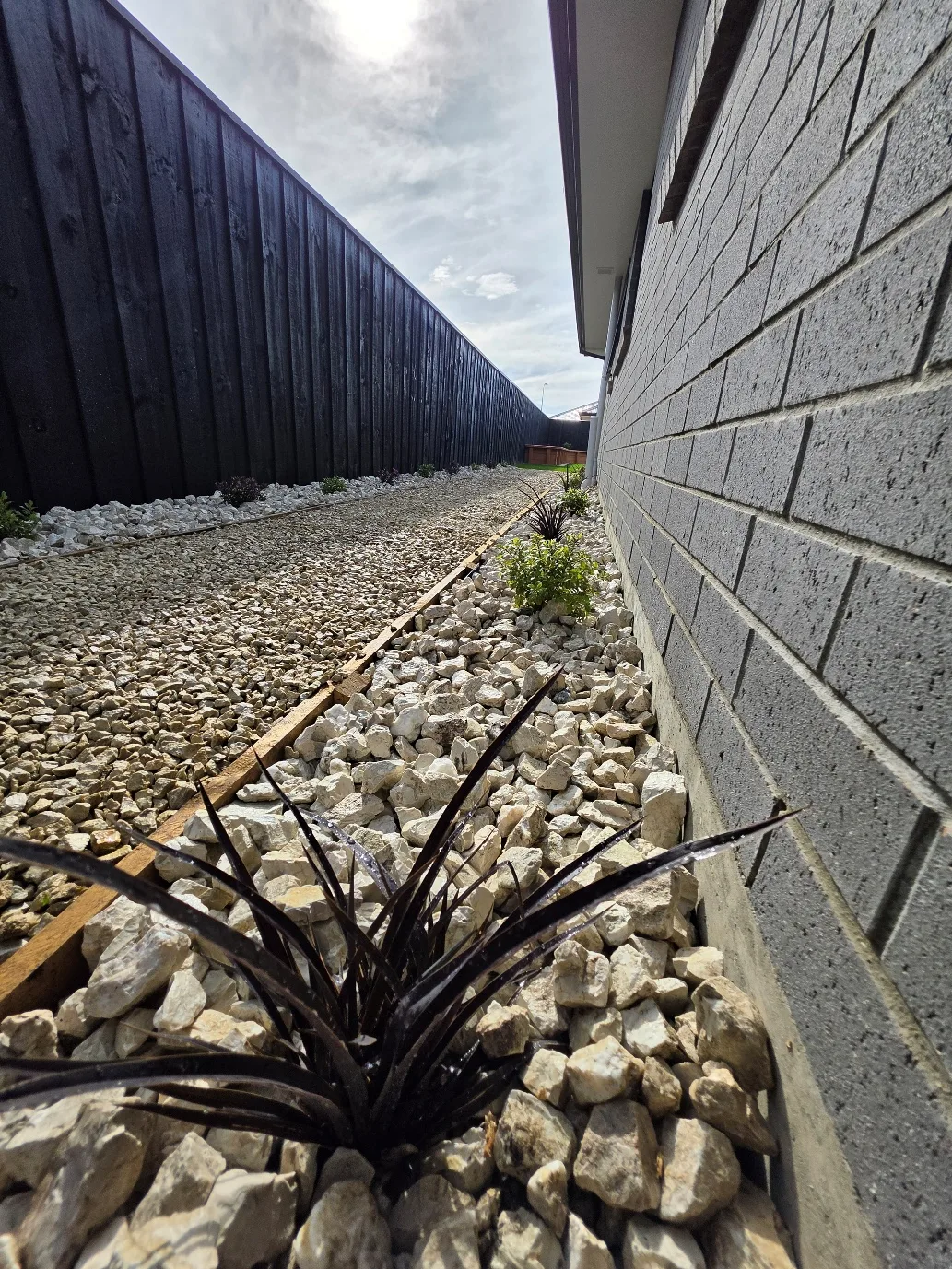 Decorative stone side path with black timber fence and planting at 25 Derbridge Street