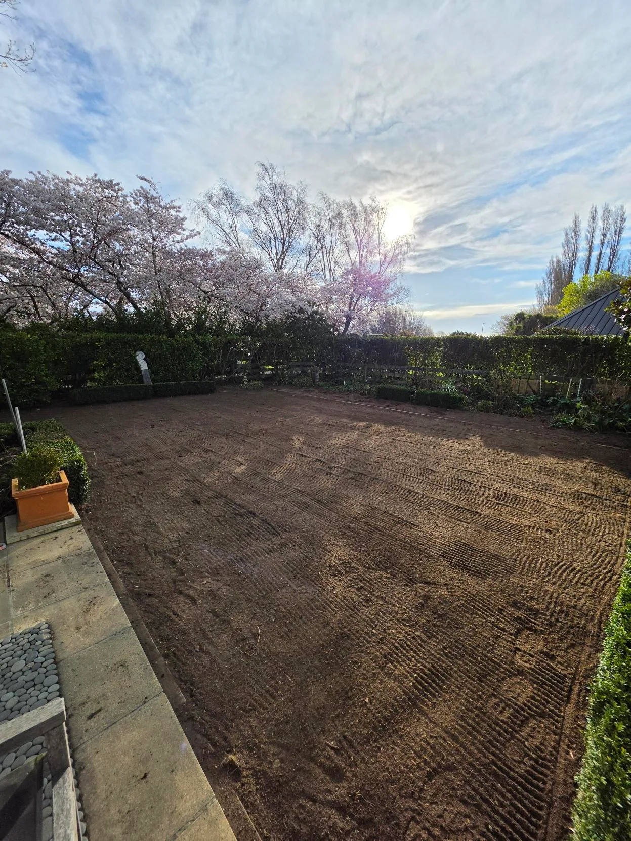 Levelled soil bed ready for grass seed with trimmed hedges and spring blossom trees beyond, Canterbury